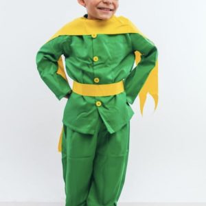 Disfraz El Principito